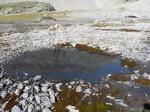 Petite gouille près de la Tièche