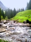 Torrent montée Latrejenalp