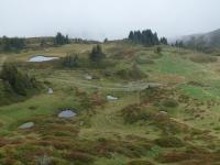 Lacs de Grosse Scheidegg