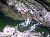 Réflexions dans les Gorges de l'Areuse