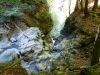 Gorges en montant à L'Arpille 2085m