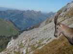 Petite pose avec le paysage derrière!! C'est pas un mâle qui ferait ça! :)