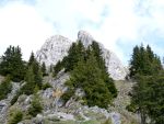 Col de la Douve avec panneaux jaunes