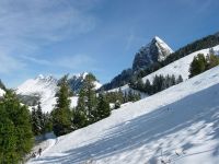 La Dent de Jaman en montant aux Rochers de Naye au-dessus de Caux