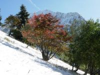 Les Rochers de Nayes