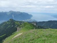 Vue du Léman depuis la croupe ouest de la Tour d'Aï.