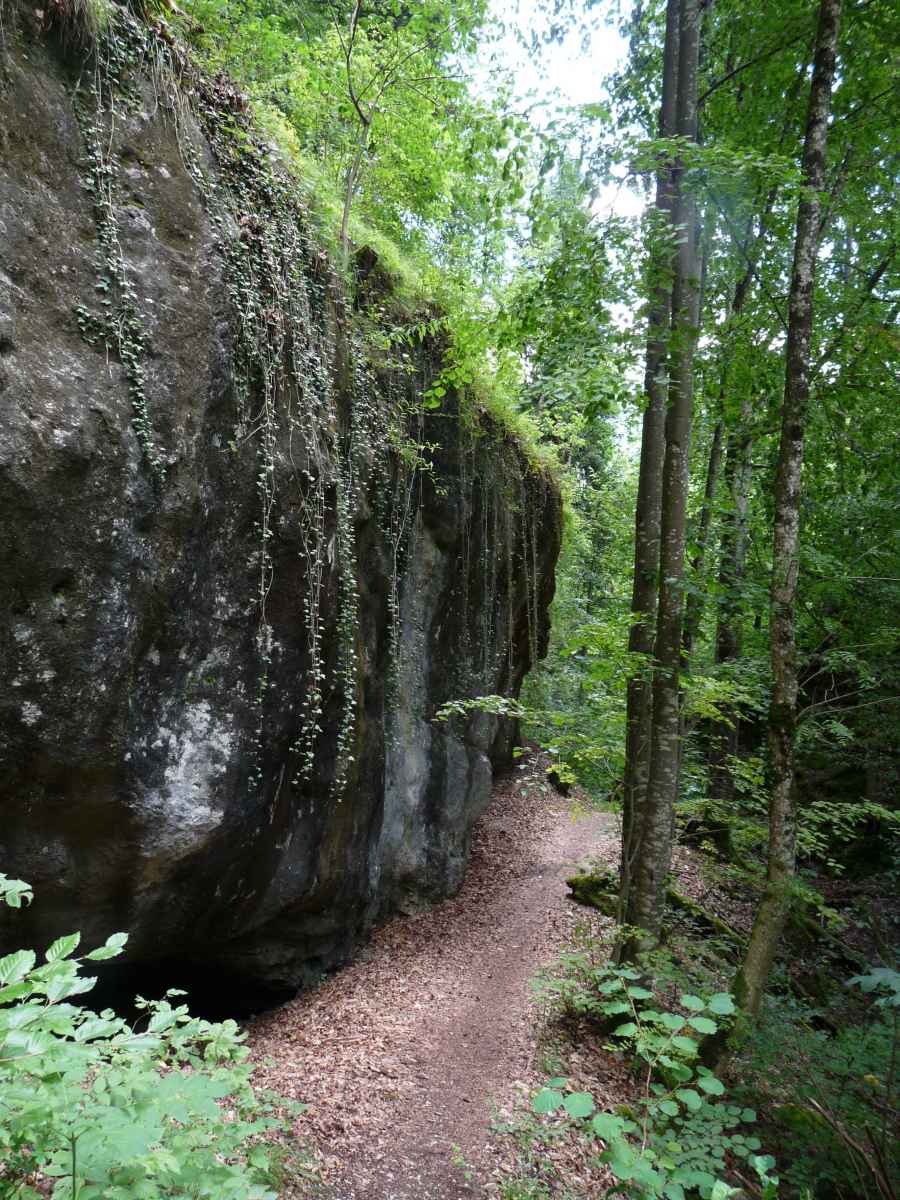 Le chemin entre falaises et arbres