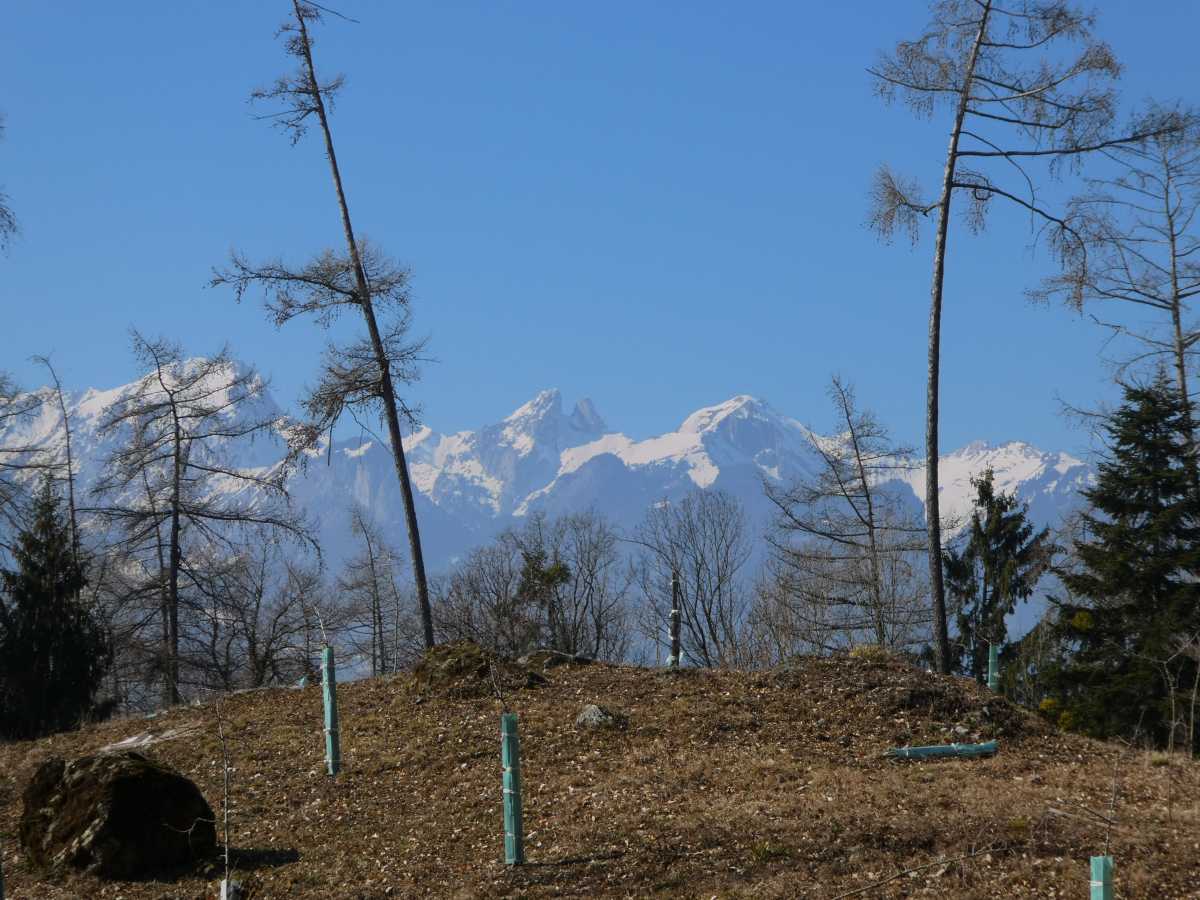 Les jumelles et leurs voisines photographiées depuis le Plantour 