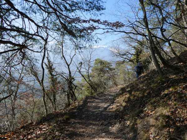 Marche horizontale en côteaux forestiers (Bois de la Glaive)