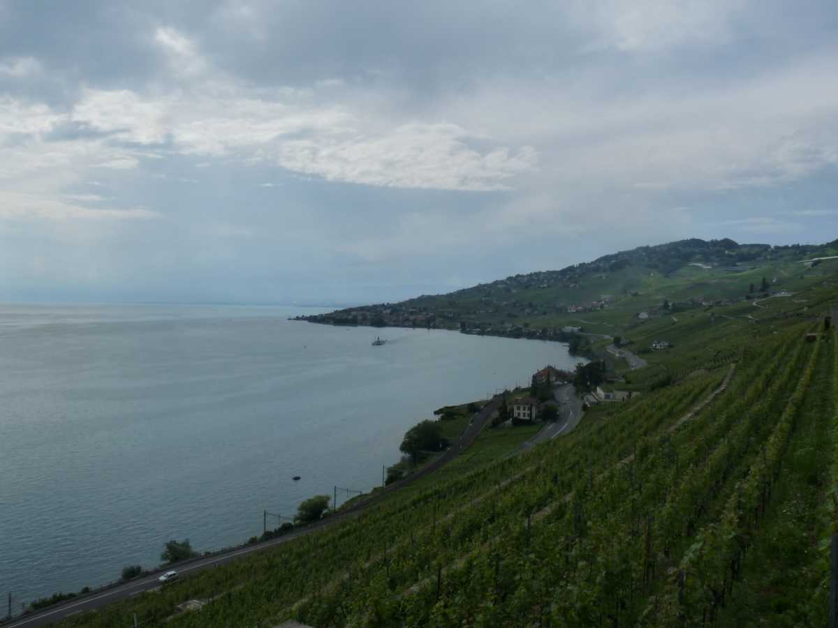 Vue sur le Léman