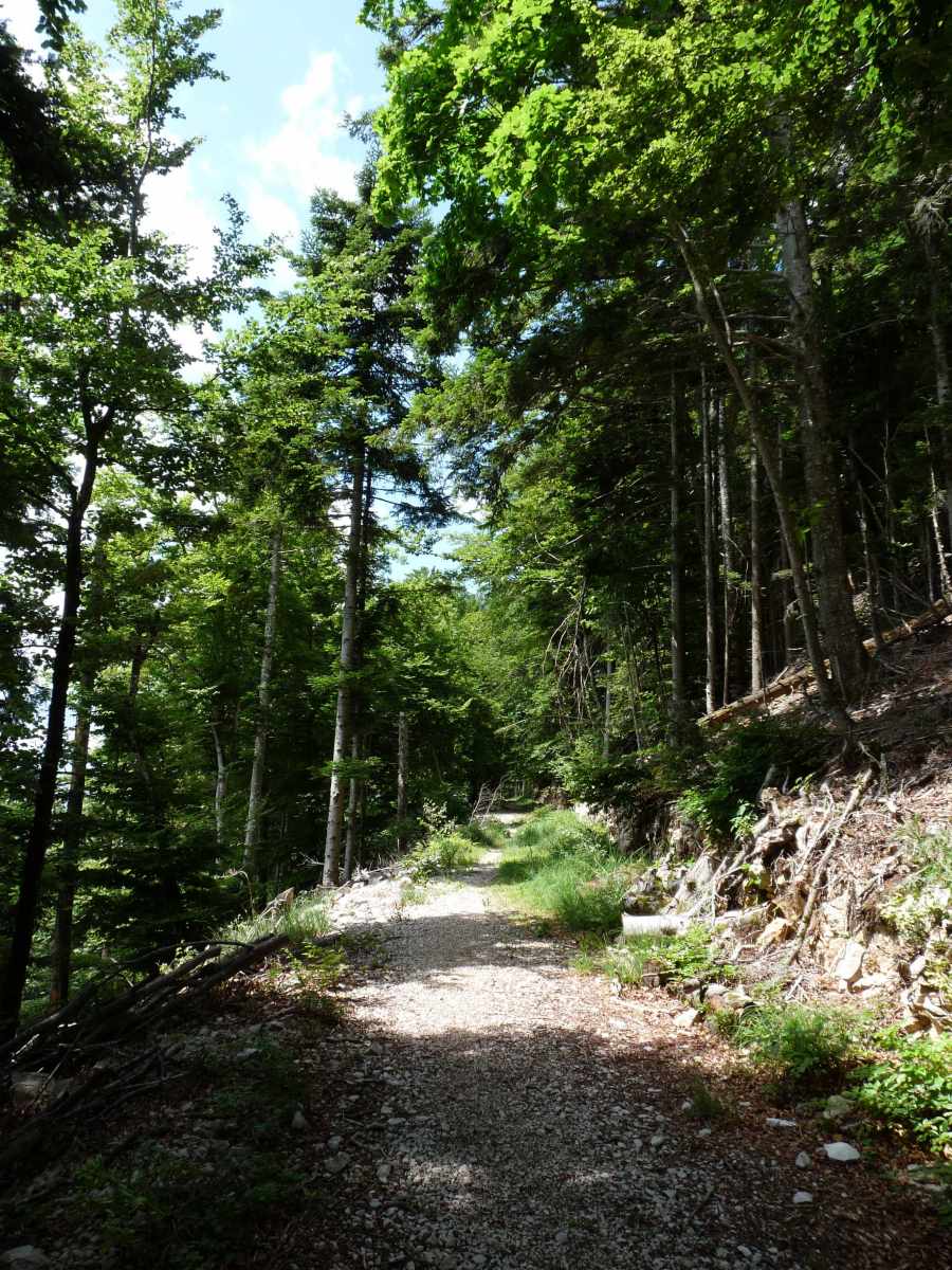 Chemin bucolique au-dessus de la gare Haut de trois-Villes