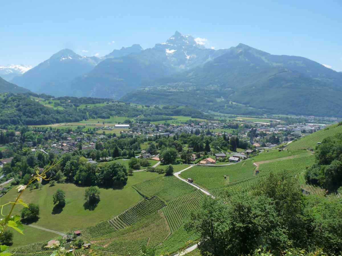 En bas la colline arborisée du Parc Szilassy devant la ville de Bex et les Dents du Midi