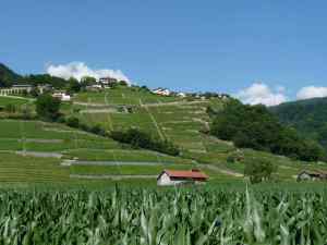 Le Crêtel entre Ollon et Bex