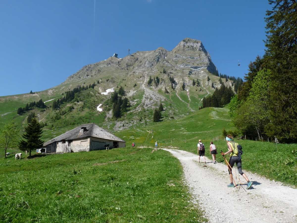 Chalet Moléson-à-Baron