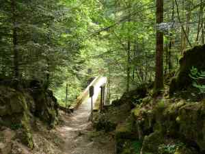 Pont du Diable