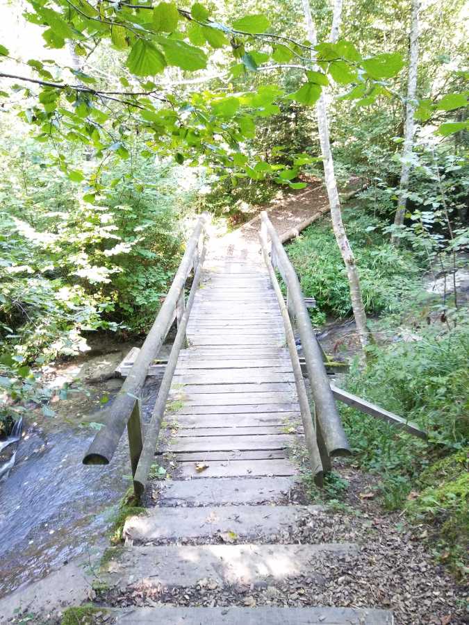 Passerelle avec vue sur le Flonc