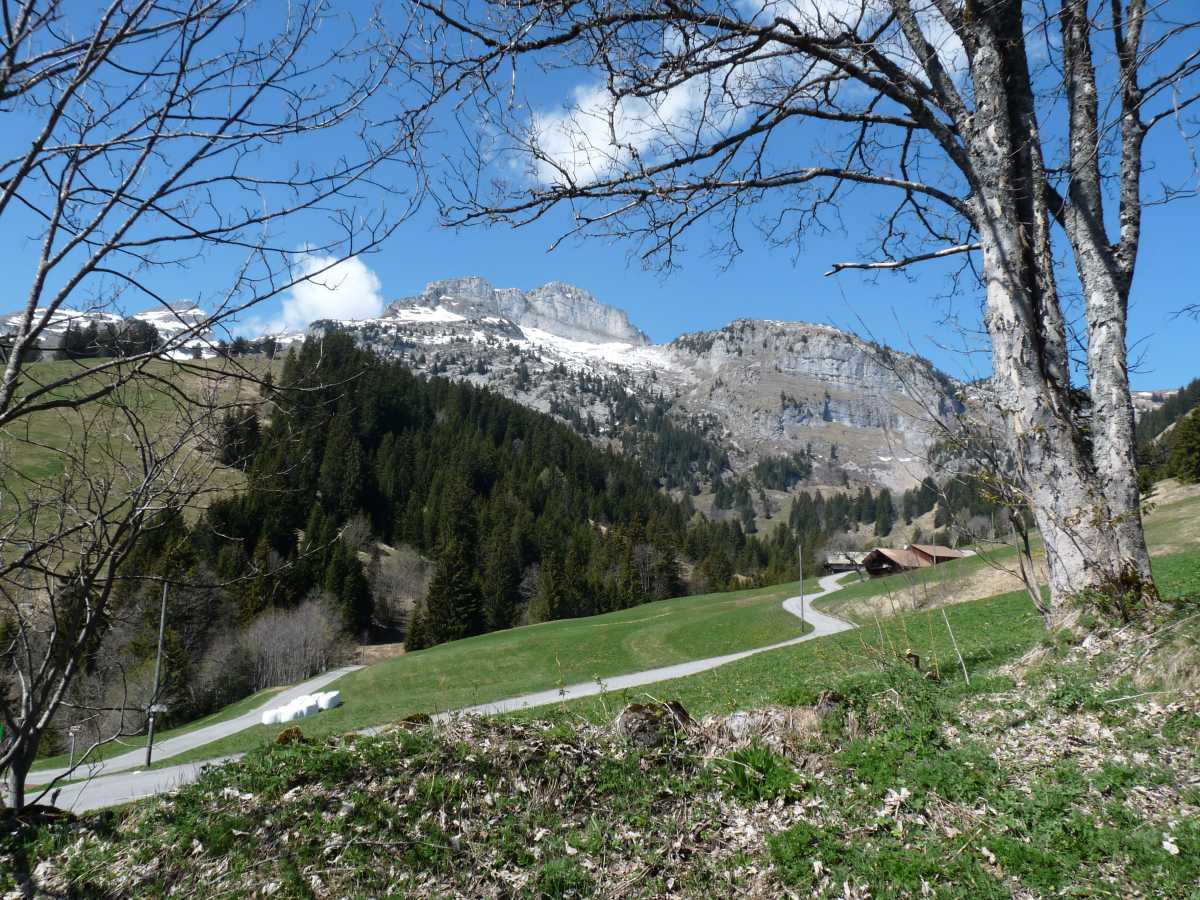 Vue sur la Tour de Famelon