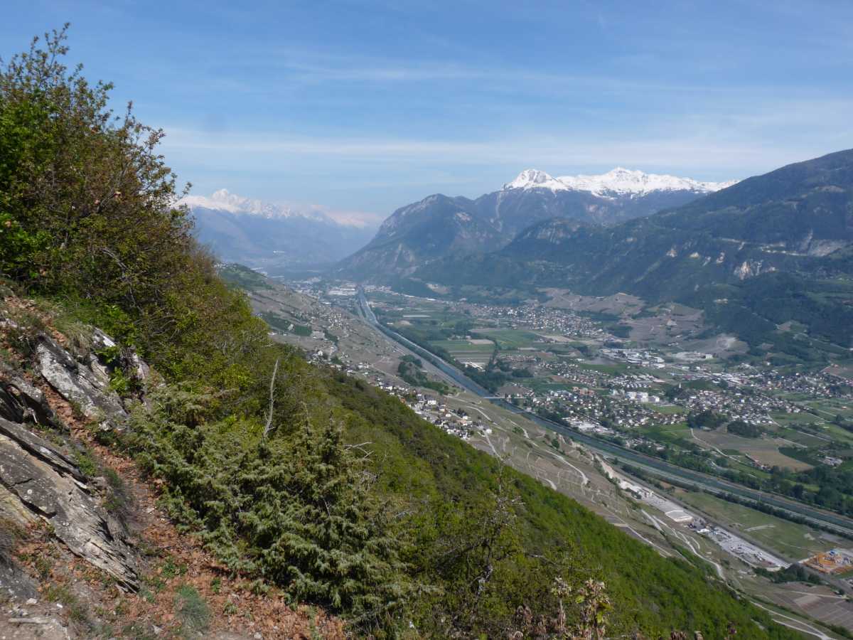 Vue en amont sur la vallée du Rhône