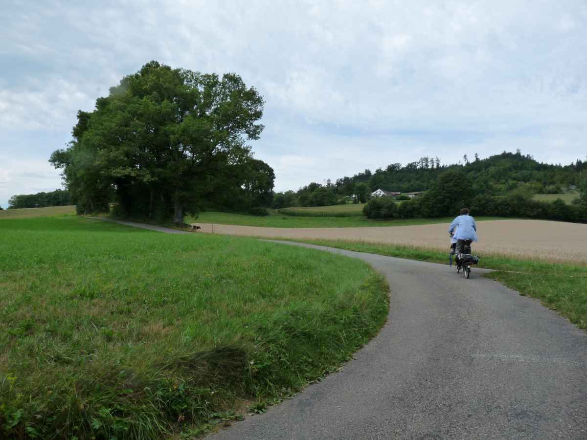 Jogging derrière le vélo