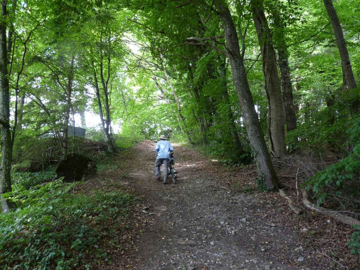 Pousser le vélo en forêt
