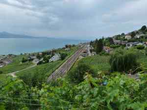 Vignobles et vue sur Grandvaux