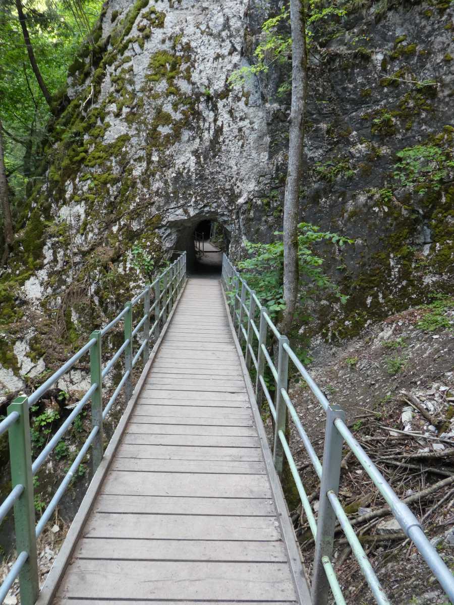 Gorges de la Jogne-2