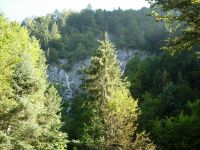 Le long de la rivière l'Hongrin vue 2