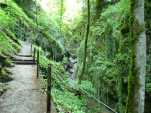 Chemin des Gorges en environnement verdoyant (2)