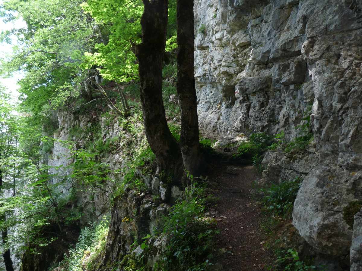 Et ça devient très raide juste avant le Mont de Baulmes