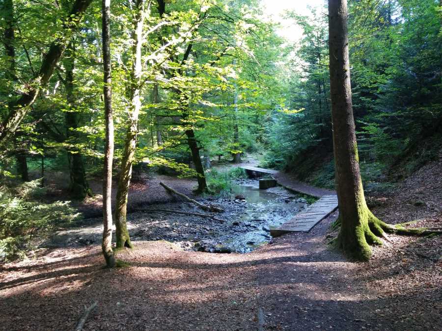 Longue passerelle au raz de l'eau