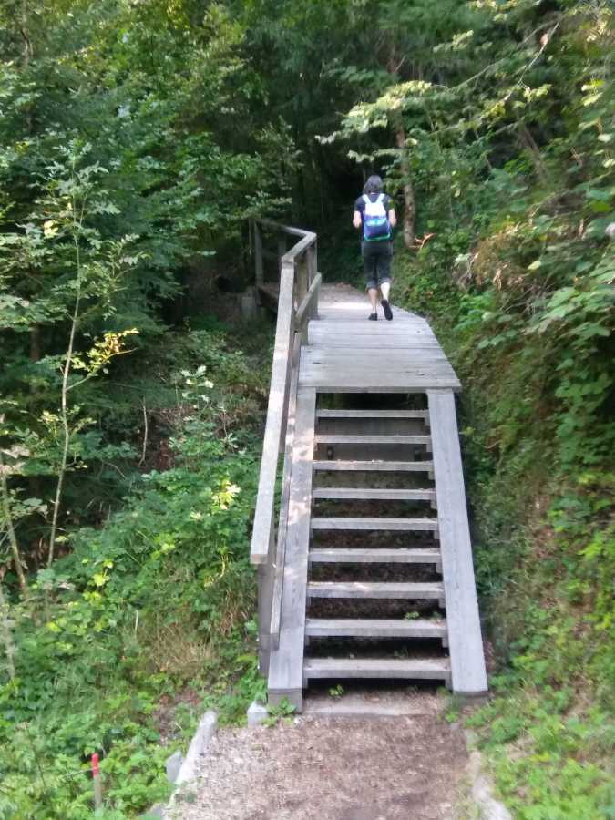 Passerelle surélevée